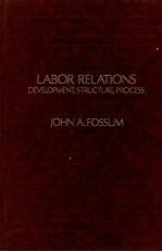 LABOR RELATIONS DEVELOPMENT STRUCTURE PROCESS REVISED EDITION