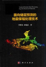 面向储层预测的地震保幅处理技术