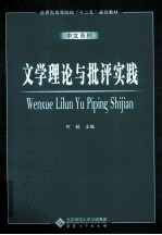 文学理论与批评实践