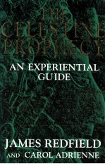 THE CELESTINE PROPHECY AN EXPERIENTIAL GUIDE