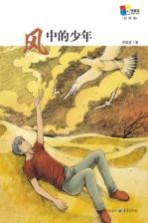 风中的少年  彩图版