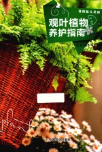 观叶植物养护指南