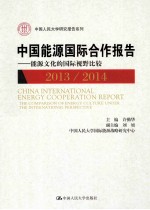 中国能源国际合作报告  能源文化的国际视野比较  2013/2014