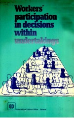 WORKERS' PARTICIPATION IN DECISIONS WITHIN UNDERTAKINGS