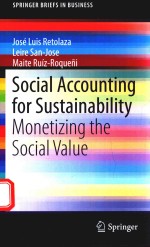 SOCIAL ACCOUNTING FOR SUSTAINABILITY MONETIZING THE SOCIAL VALUE