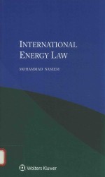 International energy law