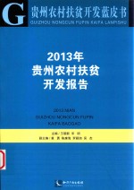 贵州农村扶贫开发报告  2013年