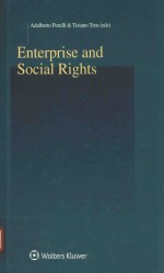 Enterprise and social rights