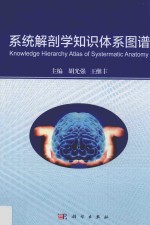 系统解剖学知识体系图谱