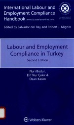 Labour and employment compliance in Turkey