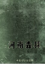 河南森林