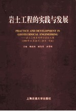 岩土工程的实践与发展  岩土工程系列研讨会论文集