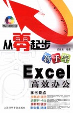 新手学Excel高效办公