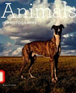 ANIMALS IN PHOTOGRAPHS