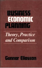 BUSINESS ECONOMIC PLANNING:THEORY