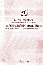 联合国反腐败公约  联合国打击跨国有组织犯罪公约