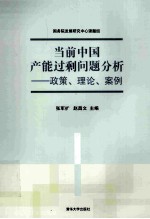 当前中国产能过剩问题分析  政策、理论、案例