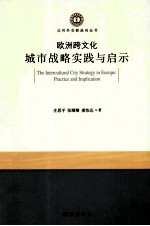 欧洲跨文化城市战略实践与启示