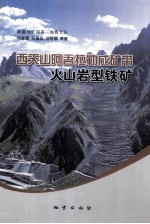 西天山阿吾拉勒成矿带火山岩型铁矿