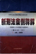 新刑法案例释解  根据最高人民法院最新司法解释修订  修订本  下