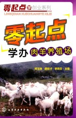 零起点学办肉羊养殖场