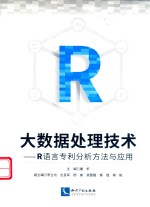 大数据处理技术  R语言专利分析方法与应用