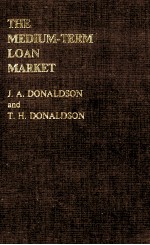 THE MEDIUM-TERM LOAN MARKET