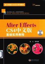 After Effects CS4中文版基础实用教程