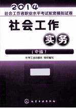 2014社会工作者职业水平考试配套模拟试卷  社会工作实务  中级