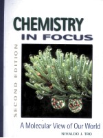 CHEMISTRY IN FOCUS A MOLECULAR VIEW OF OUR WORLD SECOND EDITION