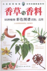 香草与香料