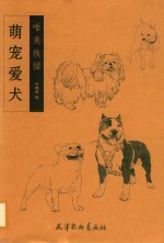 萌宠爱犬