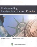 Understanding immigration law and practice