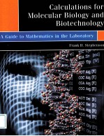 CALCULATIONS IN MOLECULAR BIOLOGY AND BIOTECHNOLOGY A GUIDE TO MATHEMATICS IN THE LABORATORY