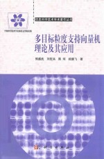 多目标粒度支持向量机理论及其应用