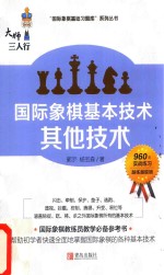 大师三人行  国际象棋基本技术  其他技术