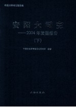 安阳大司空  2004年发掘报告  下