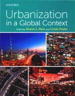 Urbanization In A Global Context