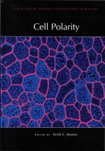 Cell Polarity