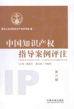 中国知识产权指导案例评注  中国法院知识产权司法保护10大案件、10大创新性案件和50件典型案例全文及评述  第6辑