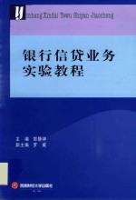 银行信贷业务实验教程