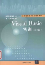 Visual Basic实训