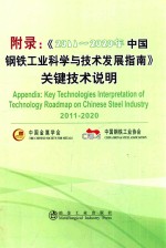 附录  《2011-2020年中国钢铁工业科学与技术发展指南》关键技术说明