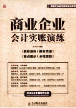 商业企业会计实账演练