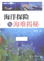 海洋探险与海滩揭秘