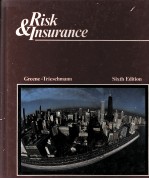 RISK&INSURANCE SIXTH EDITION