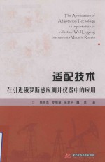 适配技术在引进俄罗斯感应测井仪器中的应用