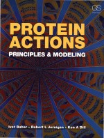 Protein Actions Principles and Modeling