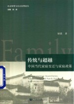 传统与超越  中国当代家庭变迁与家庭政策