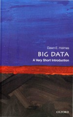 Big Data A Very Short Introduction